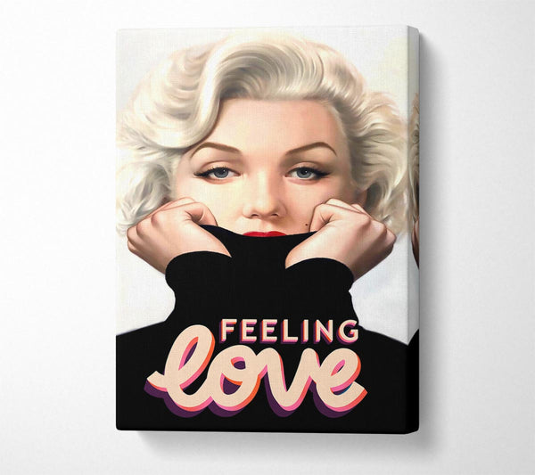 Marilyn Monroe Feeling Love
