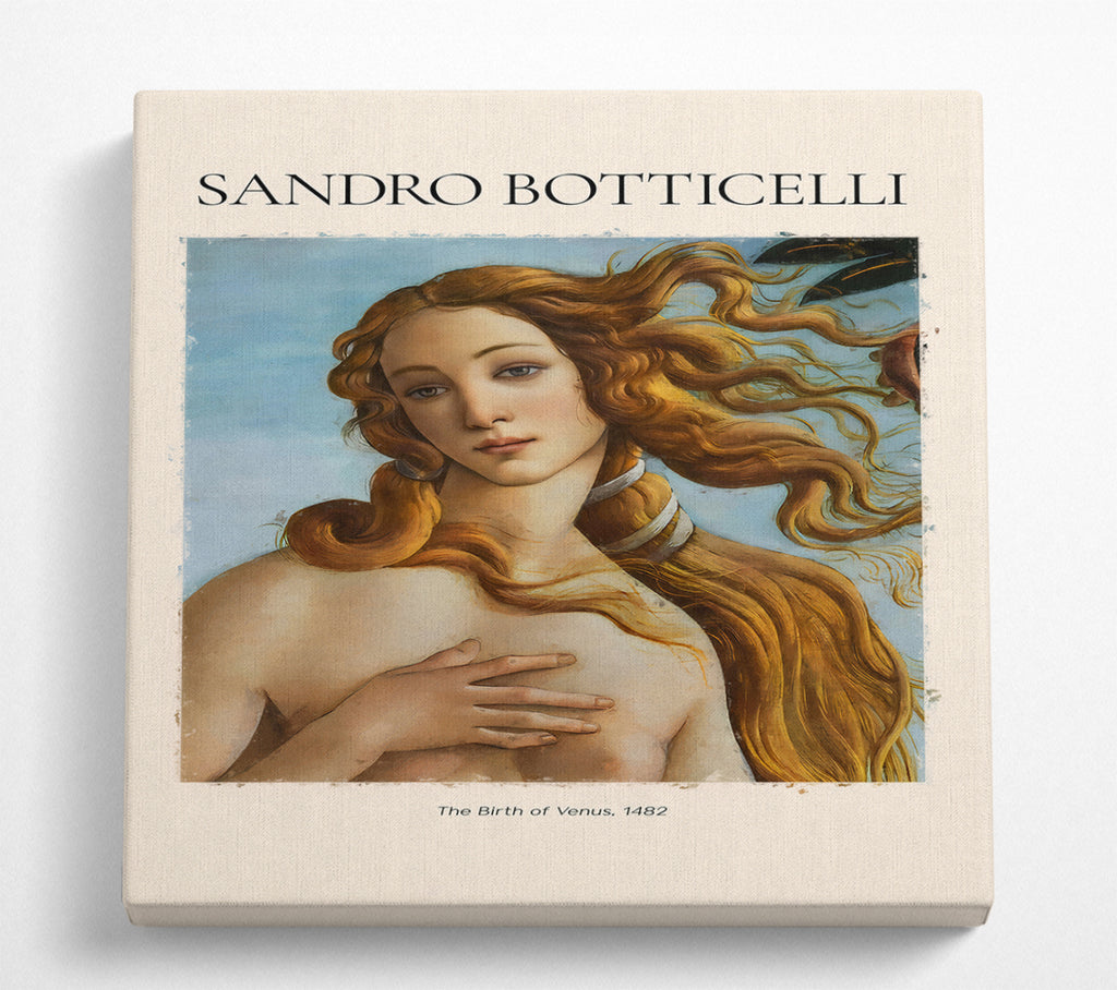 A Square Canvas Print Showing The Birth Of Venus, 1482 By Sandro Botticelli Square Wall Art
