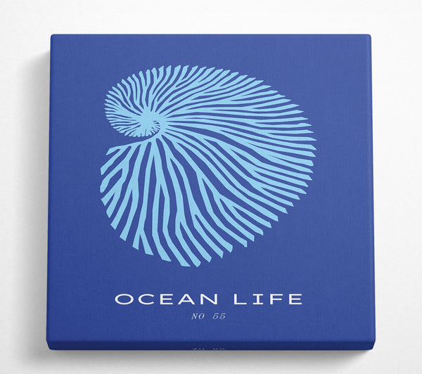 A Square Canvas Print Showing Ocean Life Shell Blue Square Wall Art