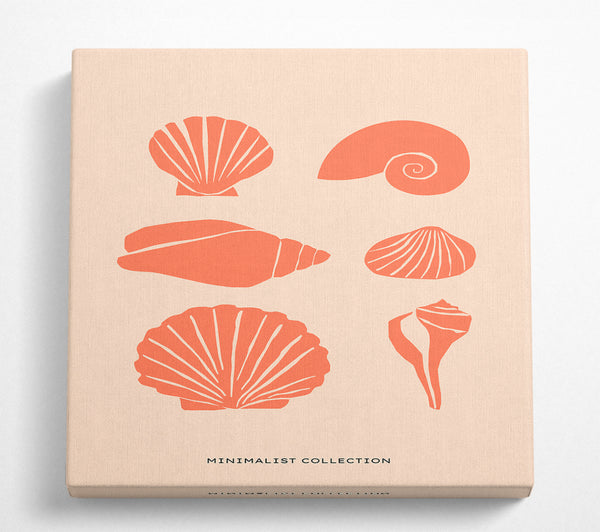 A Square Canvas Print Showing A Shell Collection Square Wall Art