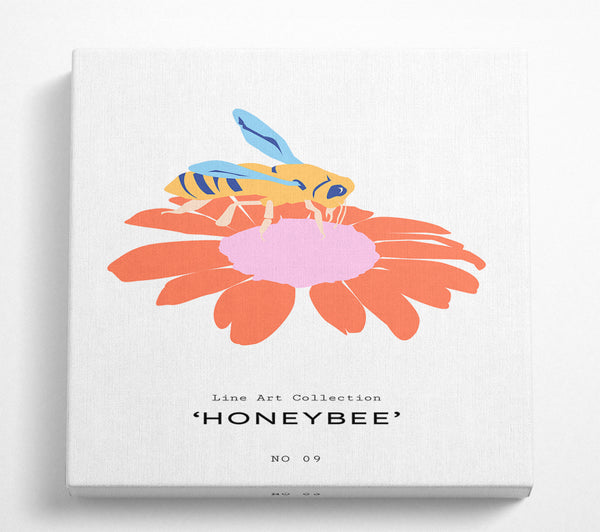 A Square Canvas Print Showing Modern Honey Bee Square Wall Art