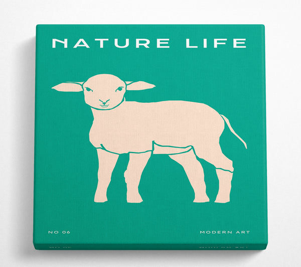 A Square Canvas Print Showing The Little Lamb Square Wall Art