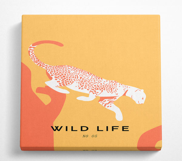 A Square Canvas Print Showing Leopard Leap Square Wall Art