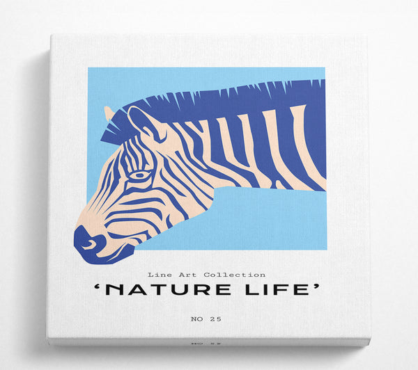 A Square Canvas Print Showing Zebra Nature Square Wall Art