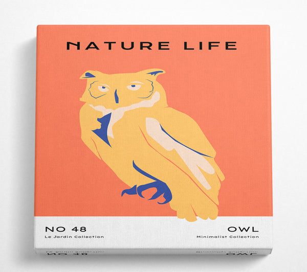 A Square Canvas Print Showing The Wise Owl Square Wall Art