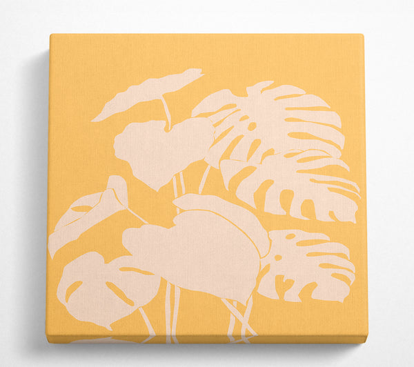 A Square Canvas Print Showing Cheese Plant Leaves Mustard Square Wall Art