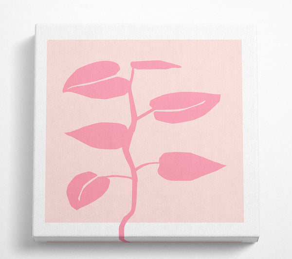 A Square Canvas Print Showing Simple Pink Plant Square Wall Art