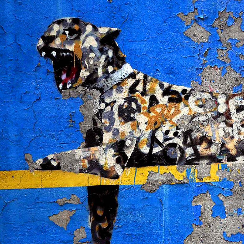 Banksy Square Canvas