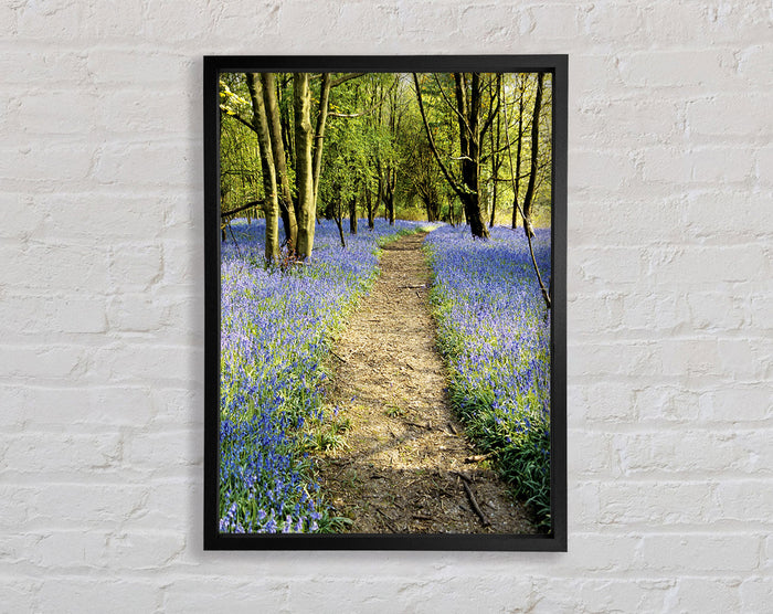 Forest Framed Print