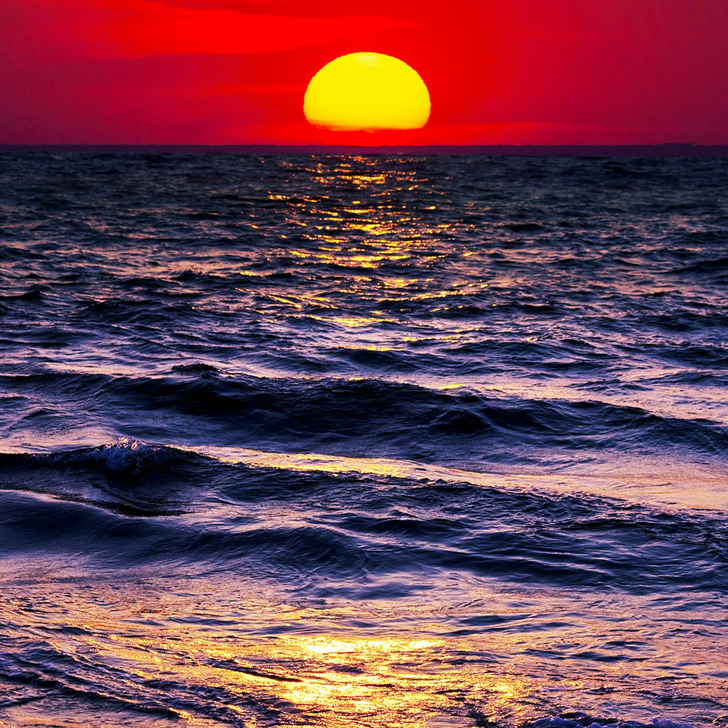 Ocean Posters
