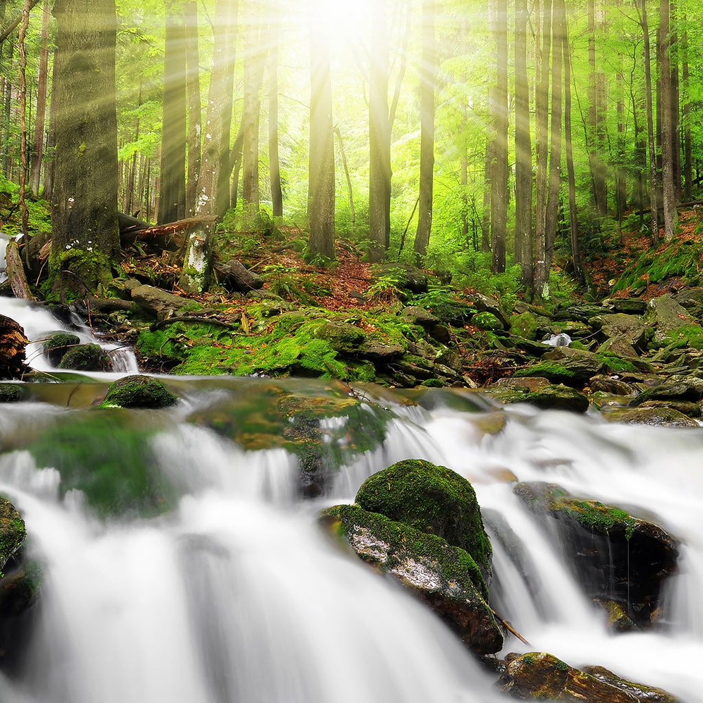 Waterfall Metal Prints