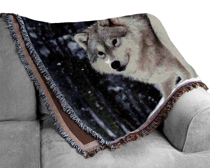 Wild Life Blankets