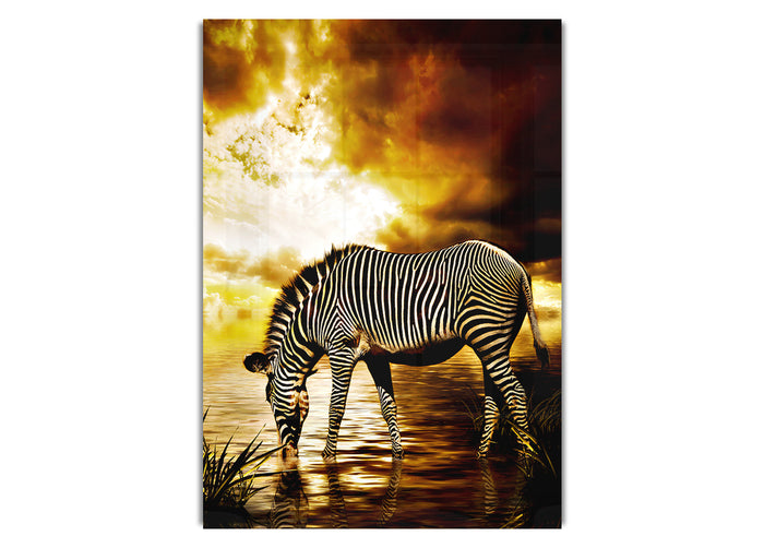Wild Life Acrylic
