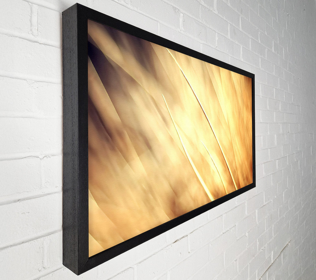  A Canvas Print of Autumn Grass Canvas Print