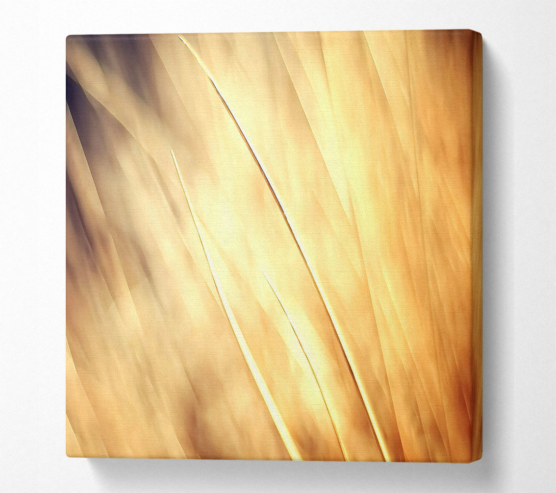  A Canvas Print of Autumn Grass Canvas Print