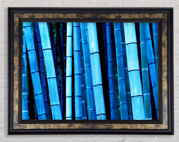 Bamboo Blues Framed Print