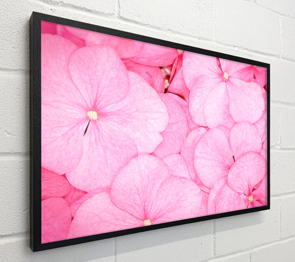 Bed Of Petals