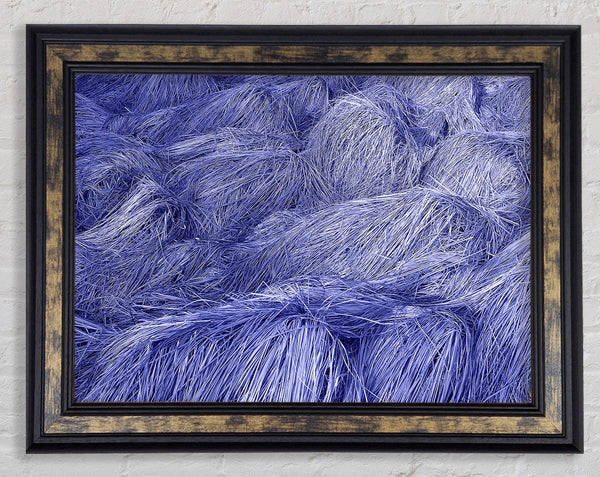 Binding Of Life Framed Print