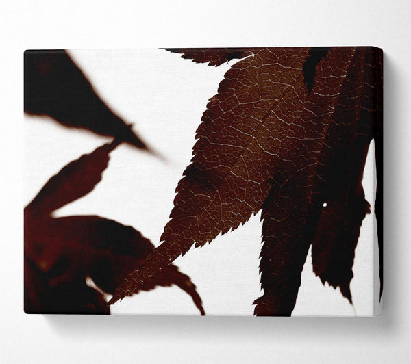  A Canvas Print of Brown Autumn Leaf Canvas Wall Art