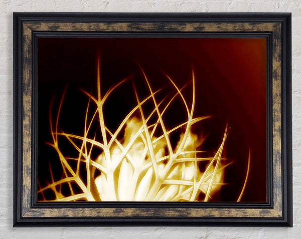 Caramel Thorns Framed Print