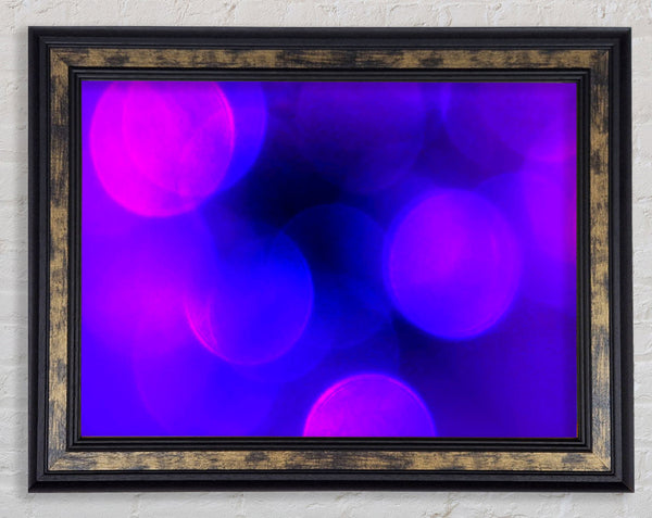 Cerise Blues Framed Print