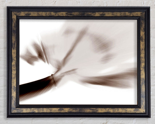 Chocolate Celebrations Framed Print