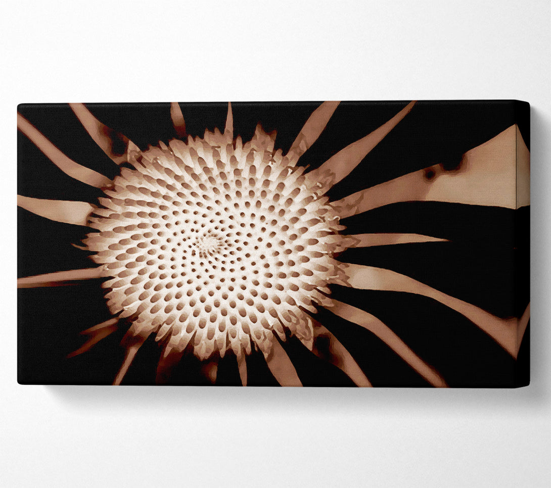  A Canvas Print of Chocolate Daisy Centre Canvas Art