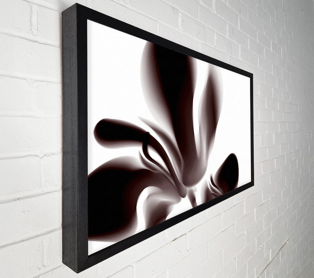  A Canvas Print of Chocolate Petals Canvas Print