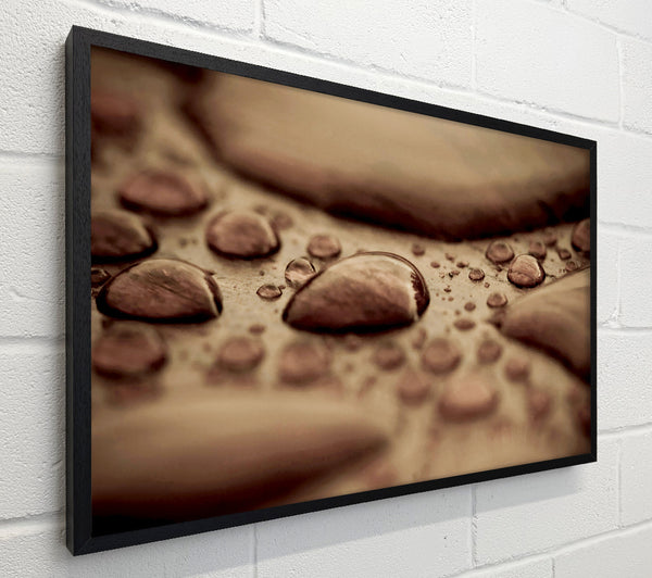 Chocolate Raindrop