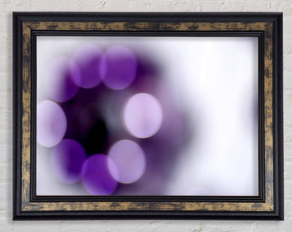 Circle Of Purple Framed Print