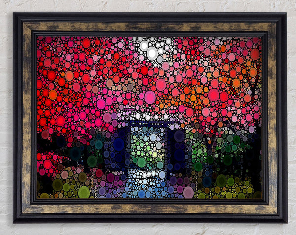 Circles In The Garden Framed Print