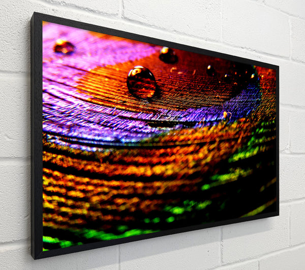 Colourful Bubble Ripples
