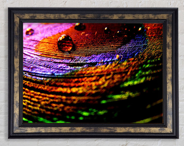 Colourful Bubble Ripples Framed Print
