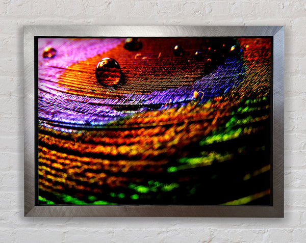 Bunte Blasenwellen