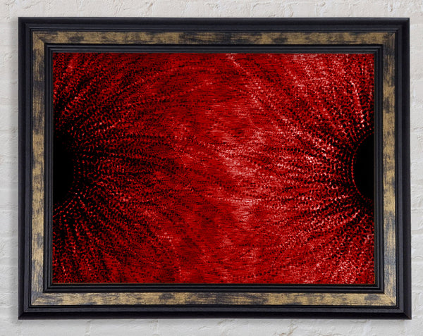 Duo Red Framed Print