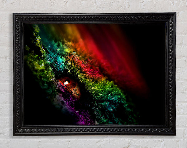 Eye Of The Rainbow Framed Print