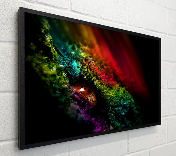 Eye Of The Rainbow