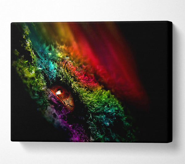  A Canvas Print of Eye Of The Rainbow Canvas Art