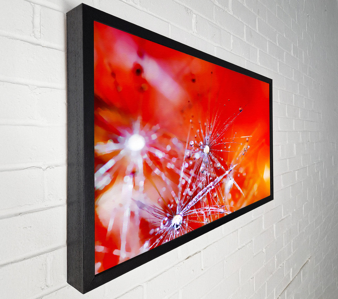  A Canvas Print of Fairy Lights Canvas Wall Art