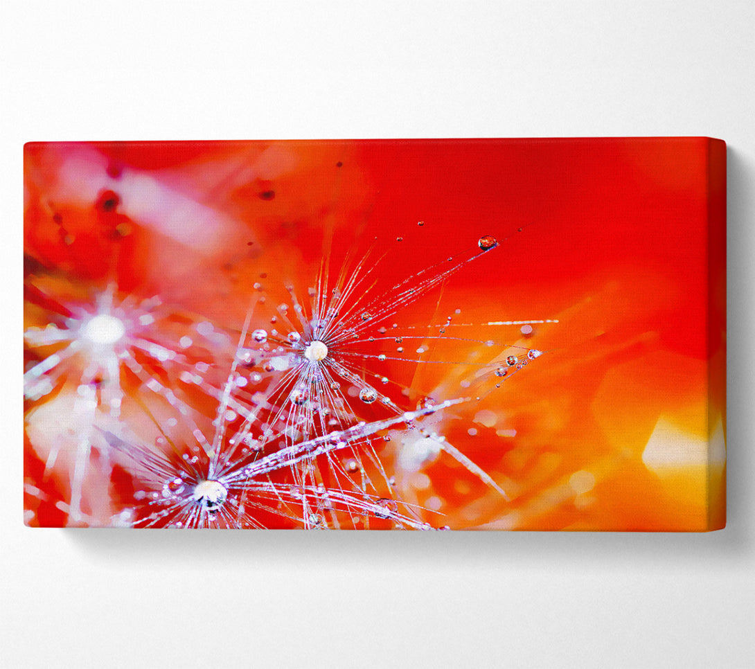  A Canvas Print of Fairy Lights Canvas Wall Art