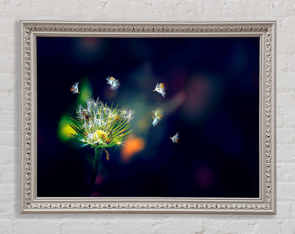 Falling Framed Print