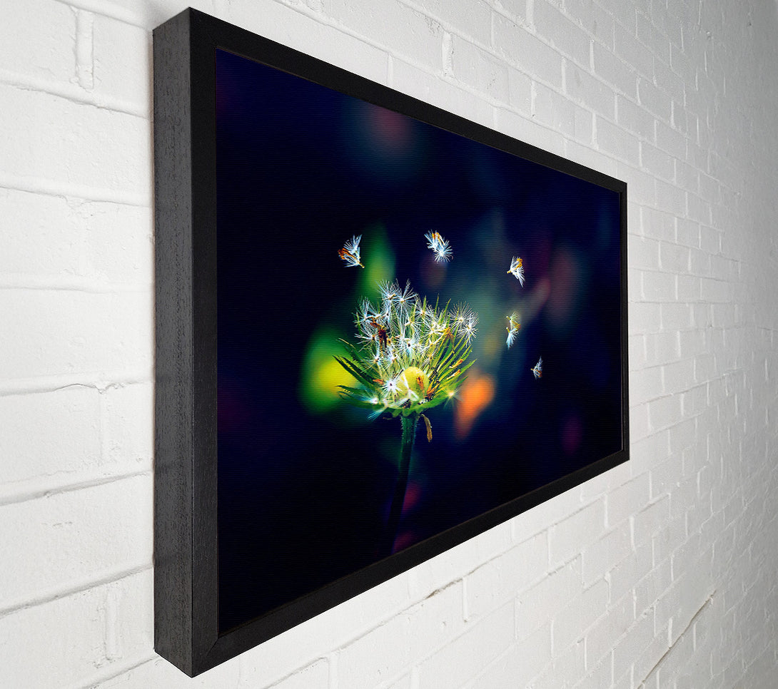  A Canvas Print of Falling Canvas Print
