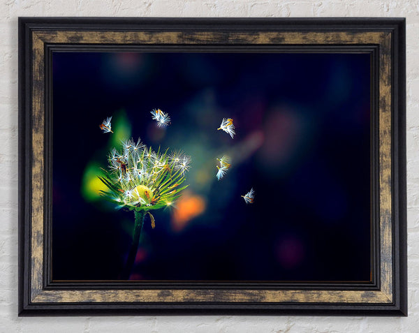 Falling Framed Print