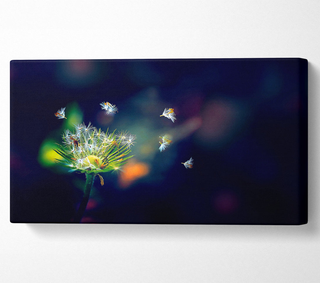 A Canvas Print of Falling Canvas Print