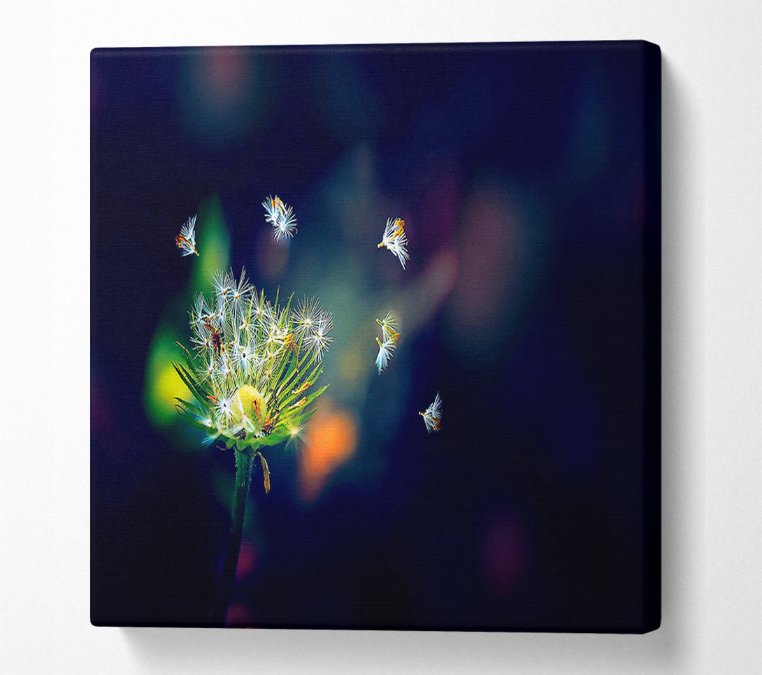  A Canvas Print of Falling Canvas Print