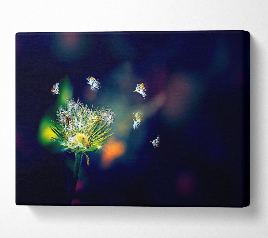  A Canvas Print of Falling Canvas Print