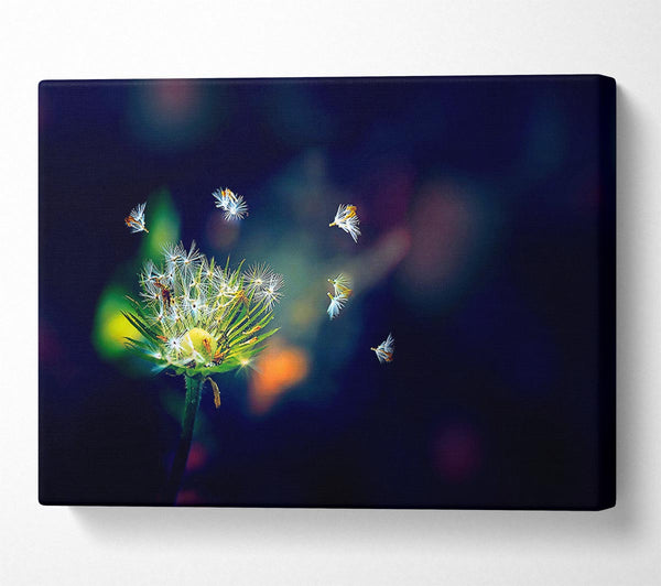  A Canvas Print of Falling Canvas Print