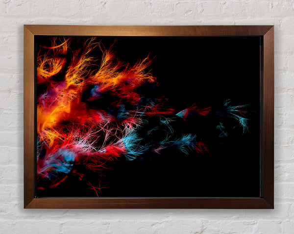 Feather Delight Framed Print