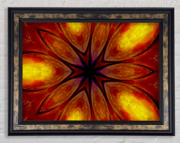 Fire Flower Framed Print