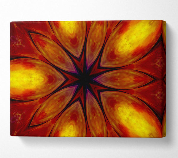  A Canvas Print of Fire Flower Canvas Art